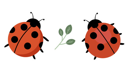 Ladybug vector. Ladybug on white background. wallpaper. symbol.