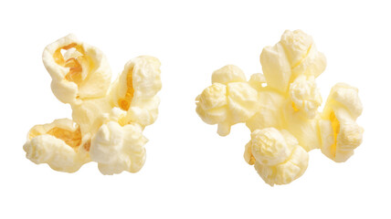 Two closeup popped popcorn kernels isolated against a plain black background in a clear sharp focus on transparent background