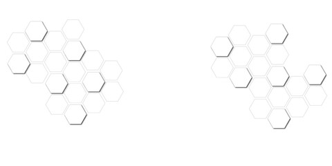Abstract background with lines white black texture background hexagon abstract background.