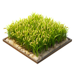 Digitally rendered representation of a square plot of young plants, likely grains or vegetables, set within a stone-edged wooden container.