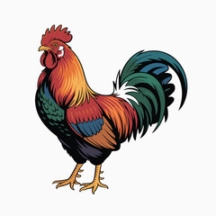  Bright Rooster Vector with Field Wheat Clean White Background