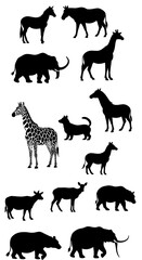 Fototapeta premium Silhouette Safari