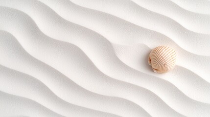 Single Seashell on Wavy White Sand Beach