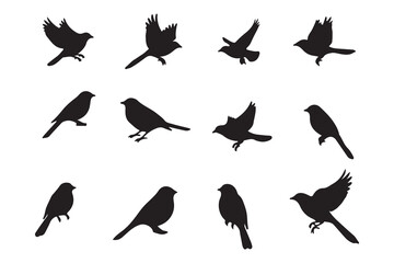 set of silhouettes of birds