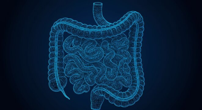 Digital Wireframe Visualization of Human Intestines with Sci-Fi Futuristic Glow