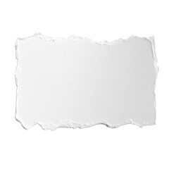 Fototapeta premium A textured piece of torn paper isolated and ready to use. This torn paper offers an intriguing textural element for design.