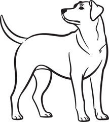 Fototapeta premium Great Dane Outline Drawing Vector Art, Majestic Dog .