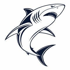 shark vector illustration