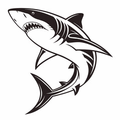shark vector illustration