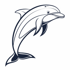 dolphin vector illustration