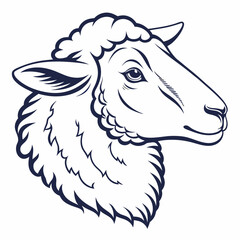 vector illustration of a sheep