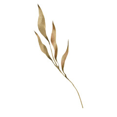 Watercolor Brown Branch with Leaves Illustration: Simple Botanical Element for Natural Decor, Hand Painted Dry Foliage Clipart