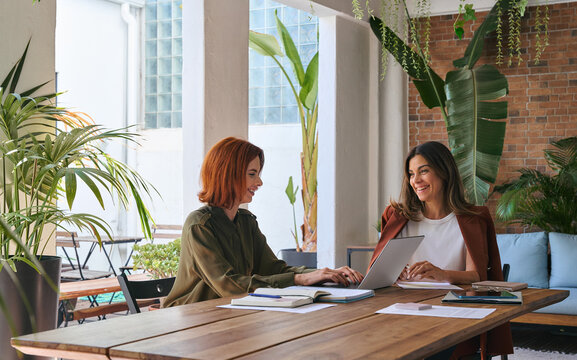 Two happy busy business women partners of young and middle age talking in green cozy office sitting at desk. Professional ladies workers or executives having conversation using laptop at work.