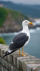 Coastal Sentinel: A striking seagull perches gracefully atop a weathered stone wall, overlooking a vast, open ocean in a coastal environment.