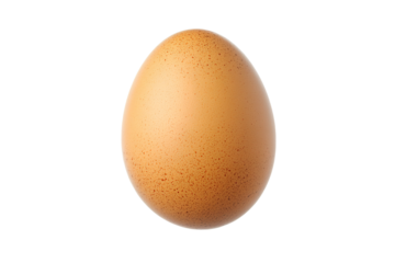 a brown egg with a white background