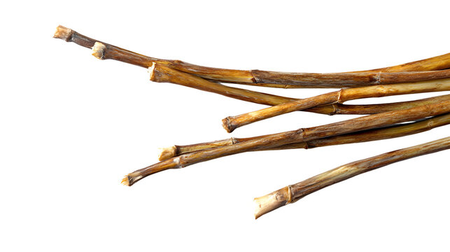 Fresh Lemongrass Stalks Isolated on White Background for Culinary Design