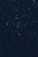 Fototapeta premium rain drops on the window