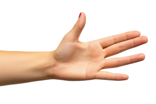Hand of woman raised to signal stop shown in transparent PNG format against white background - Powered by Adobe