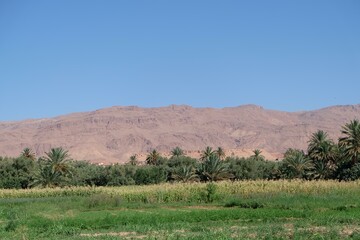 a gi standing in a field with a mountain in the background