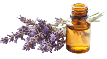 Aroma Oil Bottle with Lavender Flowers Isolated on White Background