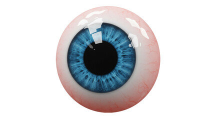 Realistic blue eye eyeball human eye close up anatomy vision sight ophthalmology health care detailed view