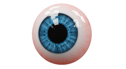 Realistic blue eye eyeball human eye close up anatomy vision sight ophthalmology health care detailed view