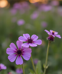 Fototapeta premium Amidst the garden's spring beauty, purple and violet flowers bloom, a closeup showcasing their delicate floral nature, Mobile Phone Wallpaper, Generative AI