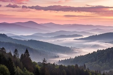 Fototapeta premium Pastel Sunrise Mountain Landscape with Fog and Pine Trees in Misty Valley