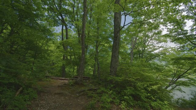 宮城県七ヶ宿町 長老湖の風景 Scenery of Lake Choro in Shichikashuku Town, Miyagi Prefecture