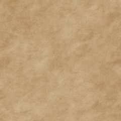 Obraz premium Light brown textured paper background
