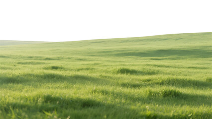 Fototapeta premium Vast green landscape of field and meadow under a beautiful blue summer sky with white clouds