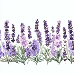 Naklejka premium Watercolor Lavender Border Design