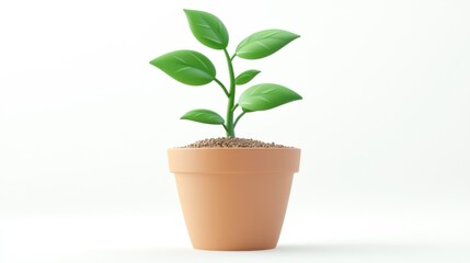 Fototapeta premium Small plant in terracotta pot
