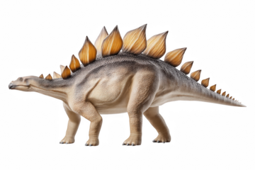 Side view illustration of stegosaurus with iconic plates in natural environment, isolated on transparent background