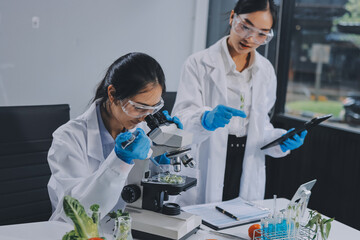 Chemical Laboratory of the Food supply . Food in laboratory, dna modify .GMO Genetically modified...