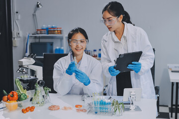 Chemical Laboratory of the Food supply . Food in laboratory, dna modify .GMO Genetically modified...