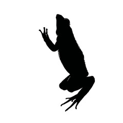 Solid black silhouette of a frog croaking