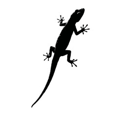 Solid black silhouette of a gecko climbing