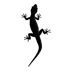 Solid black silhouette of a gecko climbing