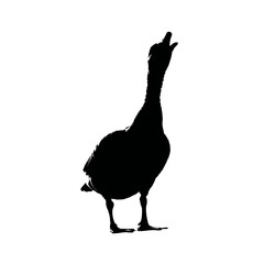 Solid black silhouette of a goose honking