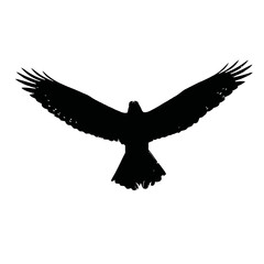 Solid black silhouette of a hawk soaring