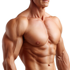 Obraz premium Muscle definition showcase gym photography indoor partial closeup striations and vascular tone, isolated on transparent background