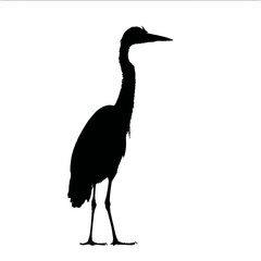 Solid black silhouette of a heron standing