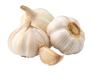 garlic and cloves isolated on transparency or jpeg background