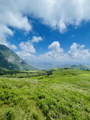 The Green Horizon's Embrace