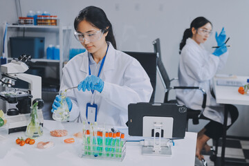 Chemical Laboratory of the Food supply . Food in laboratory, dna modify .GMO Genetically modified...
