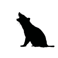Solid black silhouette of a Tasmanian devil growling