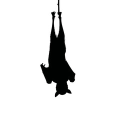 Solid black silhouette of a vampire bat hanging