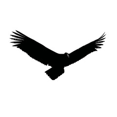 Solid black silhouette of a vulture circling
