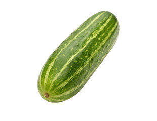 cucumber isolated on transparency or jpeg background